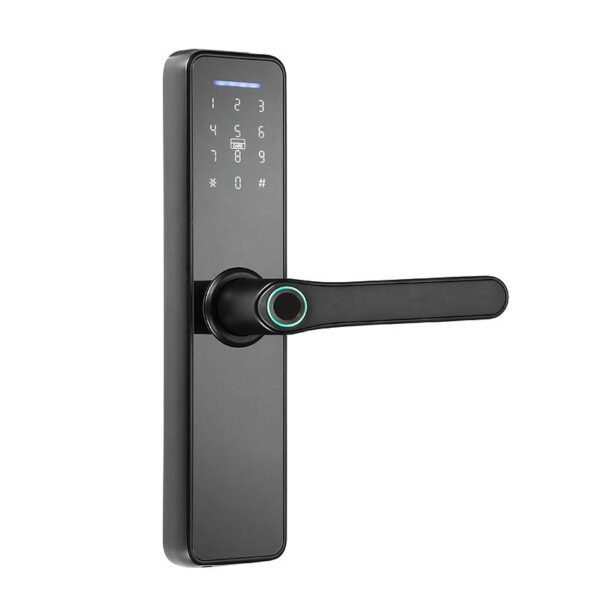 Tuya/TT Smart Intelligent Security Door Lock